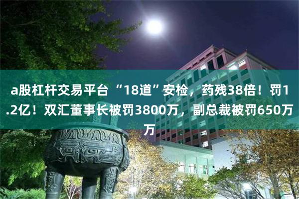 a股杠杆交易平台 “18道”安检，药残38倍！罚1.2亿！双汇董事长被罚3800万，副总裁被罚650万