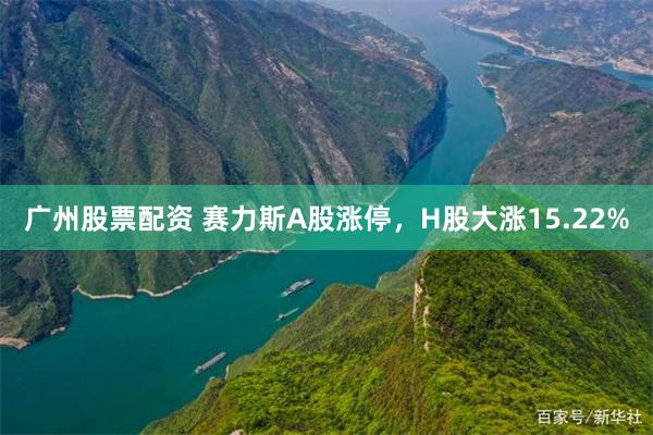 广州股票配资 赛力斯A股涨停，H股大涨15.22%