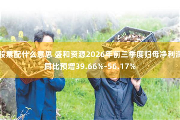股票配什么意思 盛和资源2026年前三季度归母净利润同比预增39.66%-56.17%