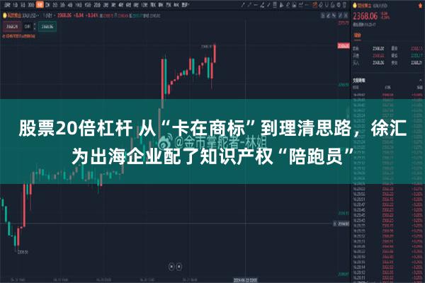 股票20倍杠杆 从“卡在商标”到理清思路，徐汇为出海企业配了知识产权“陪跑员”